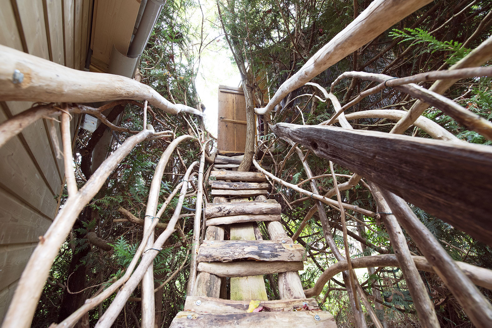 escaliers extérieurs cabane sur pilotis