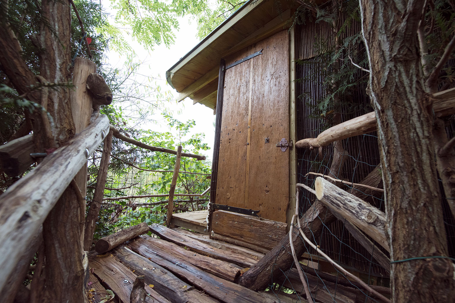 chambre perche sur pilotis