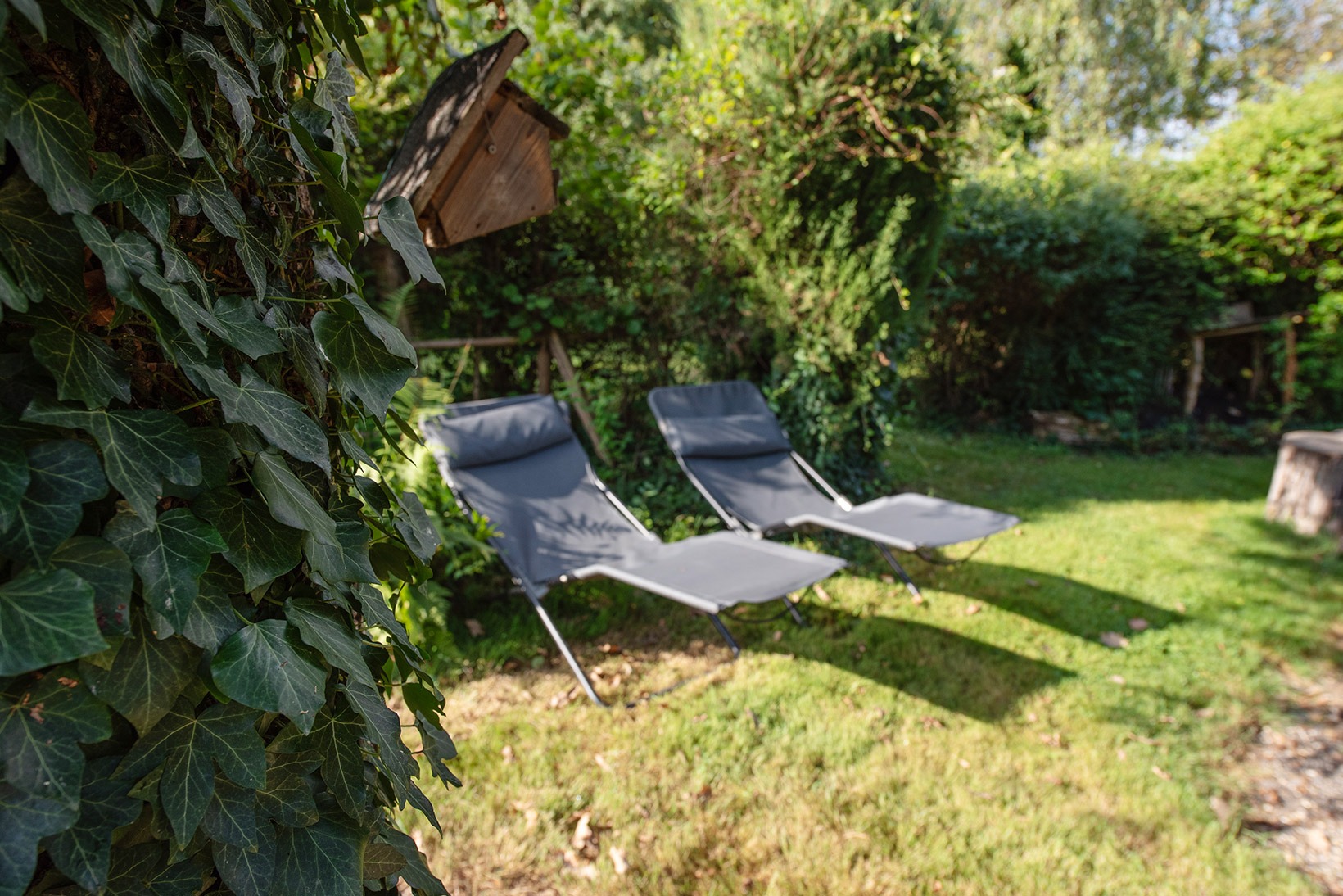 chaises longues d'extérieur