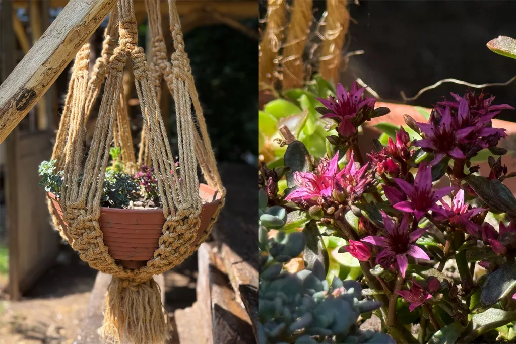 cabane_perchee_chalet_12